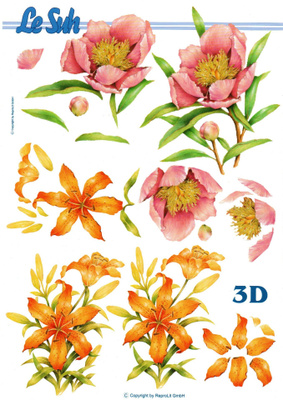 3D °°~KESÄRUUSUT JA LILJAT~°° /(Le Suh)