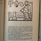 Jaroslav Hasek  Kunnon sotamies Svejk I-IV - pikkukuva 4