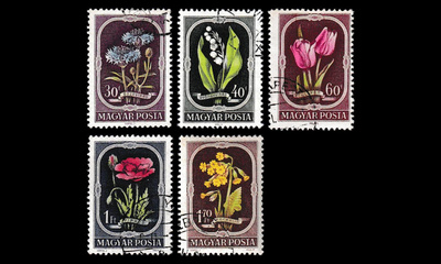 Unkari 1208-12 o Kukkia (1951)