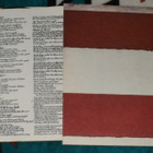 NEIL YOUNG ~ Hawks & Doves ~ LP - pikkukuva 2