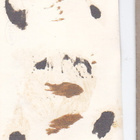 VANHA Valokuva Rautatie Asema Hämeenlinna Juna 6x9 cm 1940-l - pikkukuva 2