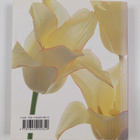 Liz Dobbs : Tulips - pikkukuva 2