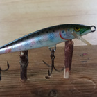 Rapala   Floating Finland  6,5cm Rainbow Trout - pikkukuva 1