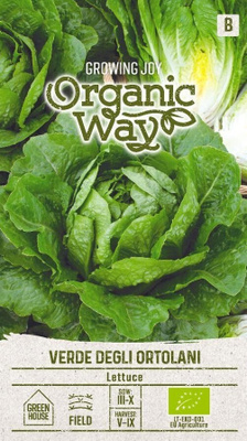 Romainesalaatti "Verde degli Ortolani" - siemenet #