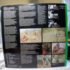 John Mayall – Blues From Laurel Canyon - pikkukuva 2