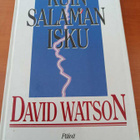 DAVID WATSON Kuin salaman isku - pikkukuva 1