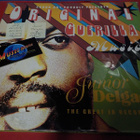 JUNIOR DELGADO - ORIGINAL GUERILLA MUSIC EX+/EX+ 2LP - pikkukuva 1