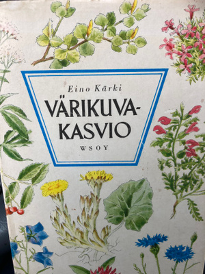 EINO KÄRKI: VÄRIKUVAKASVIO