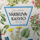 EINO KÄRKI: VÄRIKUVAKASVIO - pikkukuva 1