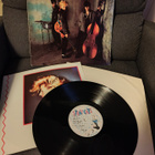 Stray Cats - pikkukuva 1