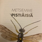 METSIEMME PISTIÄISIÄ - pikkukuva 1