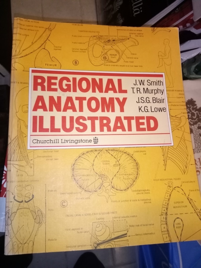REGIONAL ANATOMY ILLUSTRATED (CHURCHILL LIVINGSTONE)