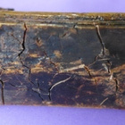 Kameli Figuuri Tunisia ,kork. 7cm vanha - pikkukuva 4