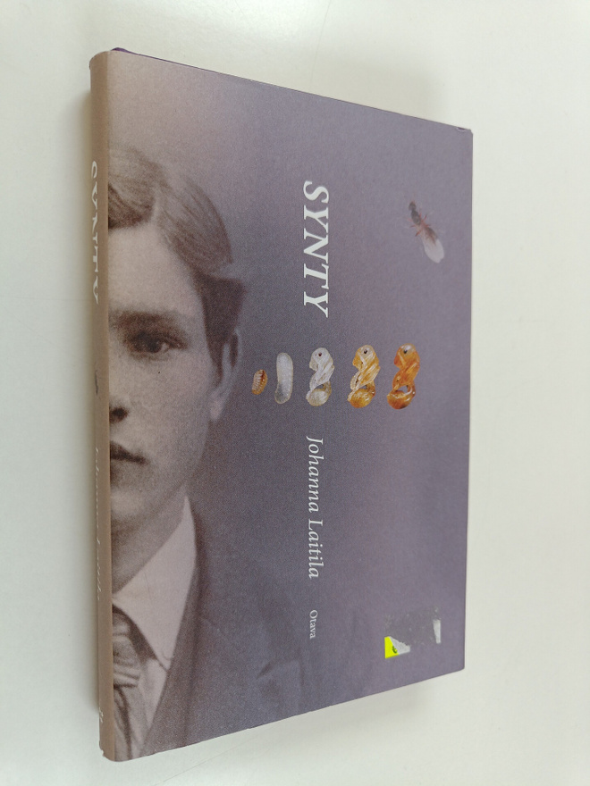Johanna Laitila : Synty