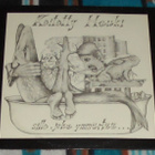 KEITETTY HAUKI ~ Sille, Joka Ymmärtää ~ LP Kompass - pikkukuva 1