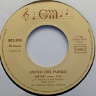 USTED DEL FUEGO :: CANCION DEL FUEGO :: VINYYLI 7" 1981 - pikkukuva 3