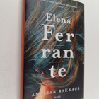 Elena Ferrante : Amalian rakkaus - pikkukuva 1