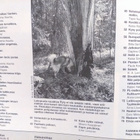 Pellervo No 15 lokakuu 1989 - pikkukuva 3