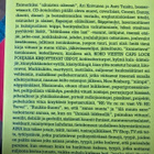 ENITEN VITUTTAA KAIKKI - pikkukuva 2