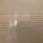 MAAILMAN VALO - HANGON HENGELLISEN ELÄMÄN ILMAISUMUOTOJA - pikkukuva 2