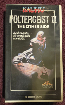 Poltergeist 2