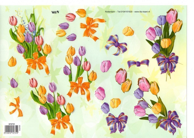 3D "°TULPPAANIT KIMPUISSA°" /Tbz..."kultaväriä"