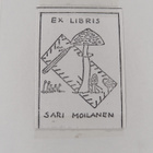 Merri Vik : Lottapa tietenkin - pikkukuva 3