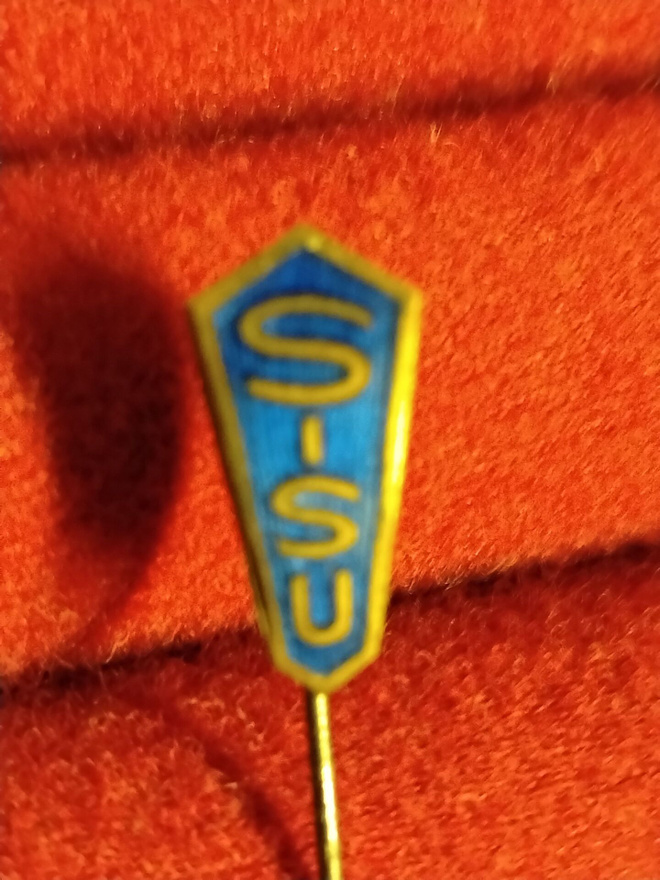 neulamerkki sisu