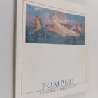 Paavo (toim.) Castren : Pompeji - Venuksen kaupunki : näy... - pikkukuva 1