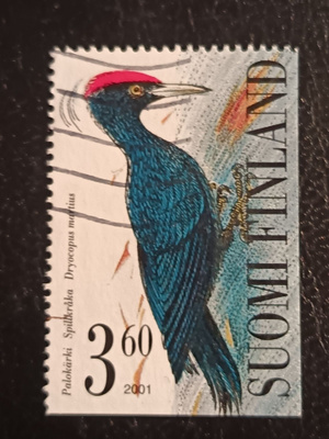2001 Tikkalintuja