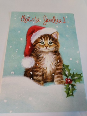 Kissa kortti,kulkematon.