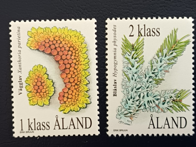 Åland Jäkäliä