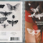 VUOKKO HOVATTA . CD-LEVY . LEMPIELÄIMIÄ - pikkukuva 1
