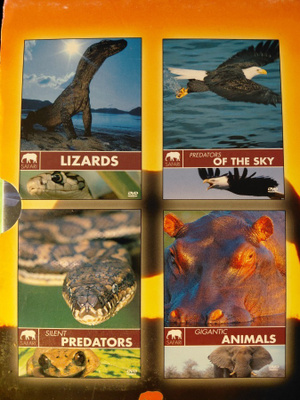 SAFARI 3 LIZARDS