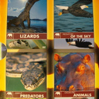SAFARI 3 LIZARDS - pikkukuva 1