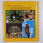 Sylvia A. Johnson ym. : Frogs & Toads - pikkukuva 2