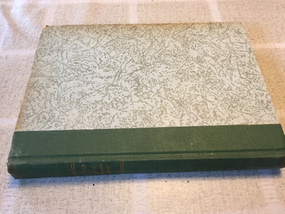 ULLMAN TOHTORI WINDOMIN TULIKOE