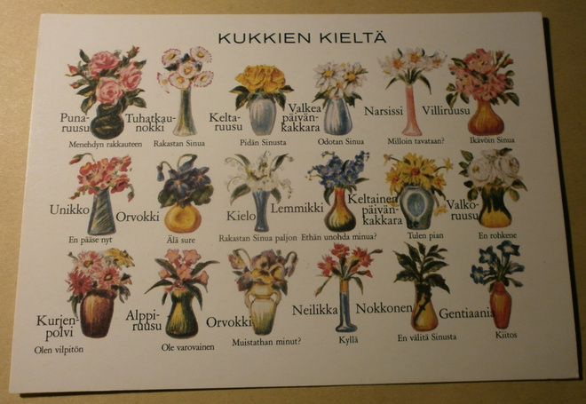 Kukkakimppujen kieltä 1900 (UP), väripk, ei p.