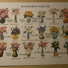 Kukkakimppujen kieltä 1900 (UP), väripk, ei p. - pikkukuva 1