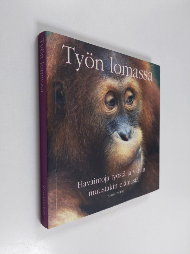 Työn lomassa : innostavia ajatuksia elämästä