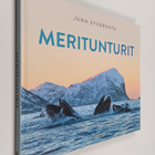 Juha Syväranta : Meritunturit - pikkukuva 1