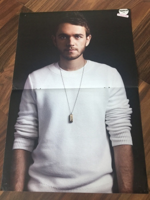 DJ Zedd Anton Zaslavski Marshmello Plavka julisteet