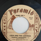 Leevi and the Leavings 4 x 7" sinkkua pakettina yht 50 € - pikkukuva 3
