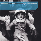 { flickerstick - welcoming home the astronauts } - pikkukuva 1