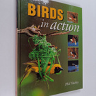Phil Hockey : Birds in action - pikkukuva 1