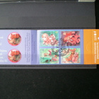 FDC-leimattu vihko Ystävyydellä 2005 - LaPe V63 o - pikkukuva 1