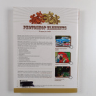David Asch : Photoshop Elements : temput ja vinkit (+CD-ROM) - pikkukuva 2