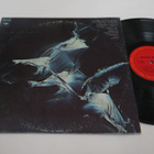 Weather Report - s/t -LP *ORIG US 1971 JAZZ FUSION* - pikkukuva 1