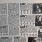 Damned : The Light At The End Of The Tunnel. 2LP. - pikkukuva 3