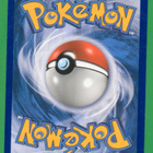 Pokémon Krokorok - pikkukuva 2